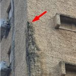 עובש וטחב באזור הנזילה מן המרזב החוצה אל קיר הבניין 2021-02-07